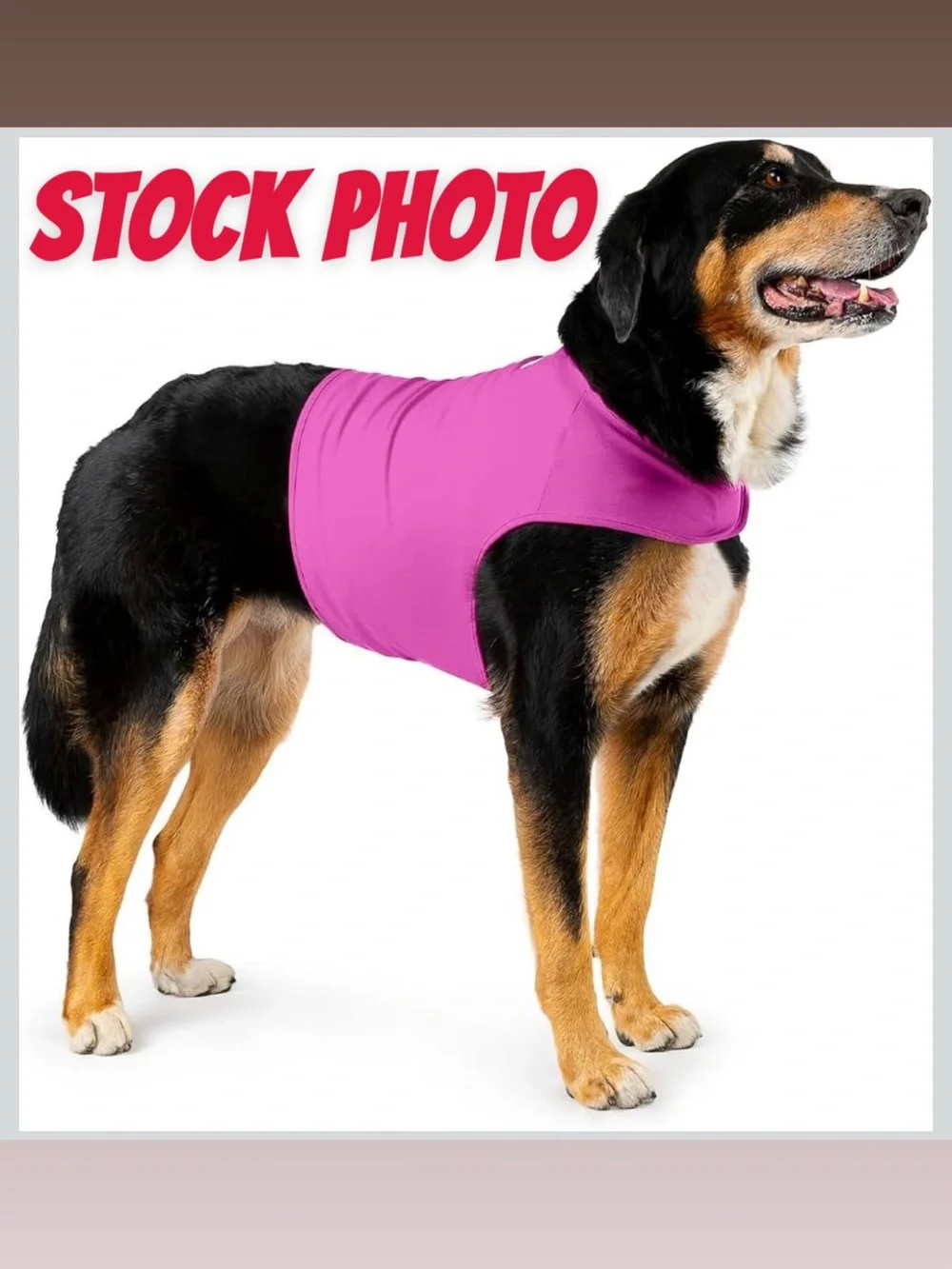 Mellow Pet mellow shirt